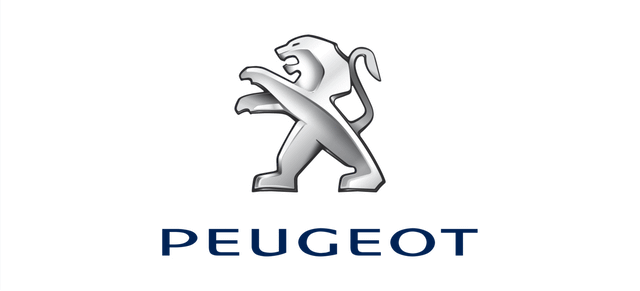 Peugeot Engine ECU Remapping