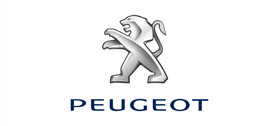 Peugeot 1007 Engine ECU Remapping