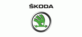 What is ECU Remapping? ENGINE TUNING  SKODA