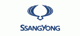 What is ECU Remapping? ENGINE TUNING  SSANGYONG